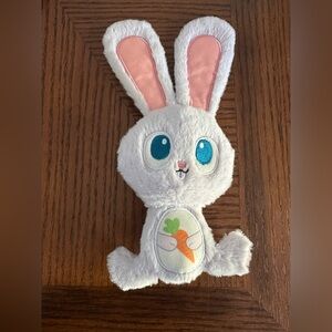 Bark Box Bunny dog toy